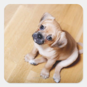 Pegatina Cuadrada Cruz Pug Cavalier King Charles Spaniel