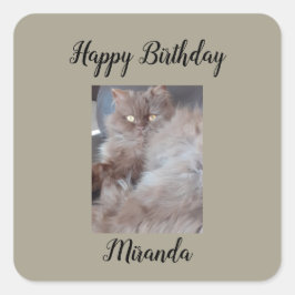 Pegatina Cuadrada Cuadridiza Cumpleaños del Gato