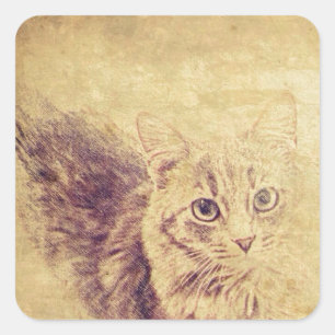 Pegatina Cuadrada Cuadros gatos de amor boceto de lápiz grisáceo gat