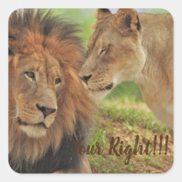 Pegatina Cuadrada cuando sabes que tiene razón