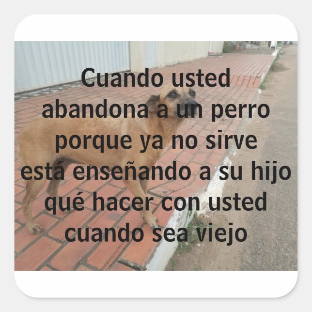 Pegatina Cuadrada cuando usto abandona un perro (Anverso)