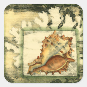 Pegatina Cuadrada Cubierta concha de silueta