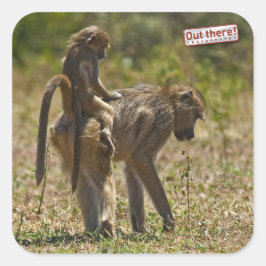 Pegatina Cuadrada Cuidado del bebé