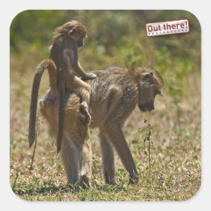 Pegatina Cuadrada Cuidado del bebé