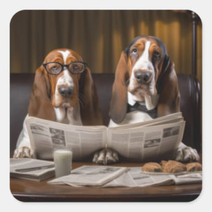 Pegatina Cuadrada Cuidados basset hounds leyendo el periódico