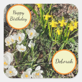 Pegatina Cuadrada Cumpleaños de Daffodils y Crocus