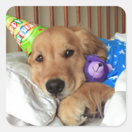 Pegatina Cuadrada Cumpleaños de Golden Retriever