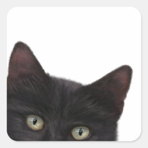 Pegatina Cuadrada Curiosa pintura digital Kitty