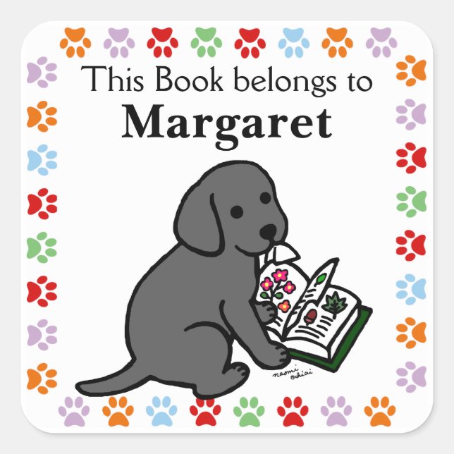 Pegatina Cuadrada Curiosa porra negra de labrador (Anverso)