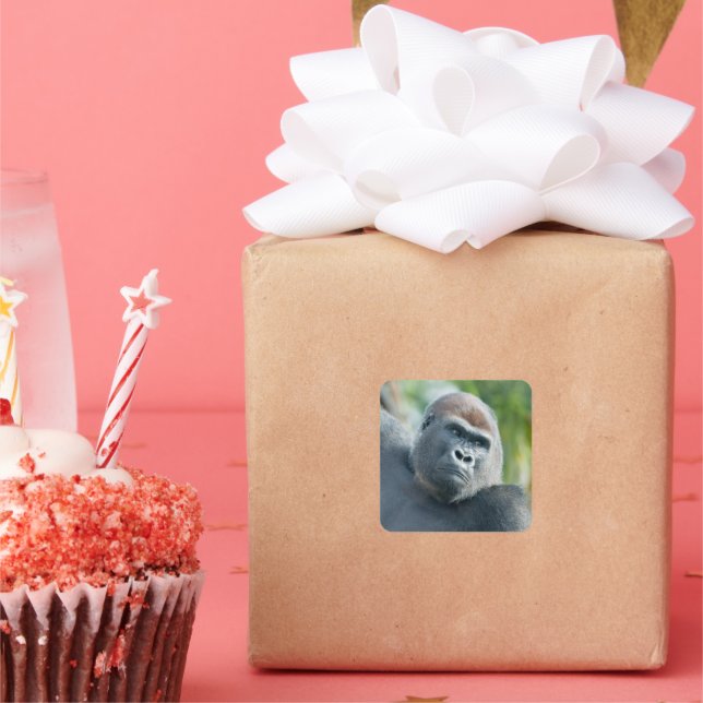 Pegatina Cuadrada Curious Gorilla Standing Tall (Fiesta)