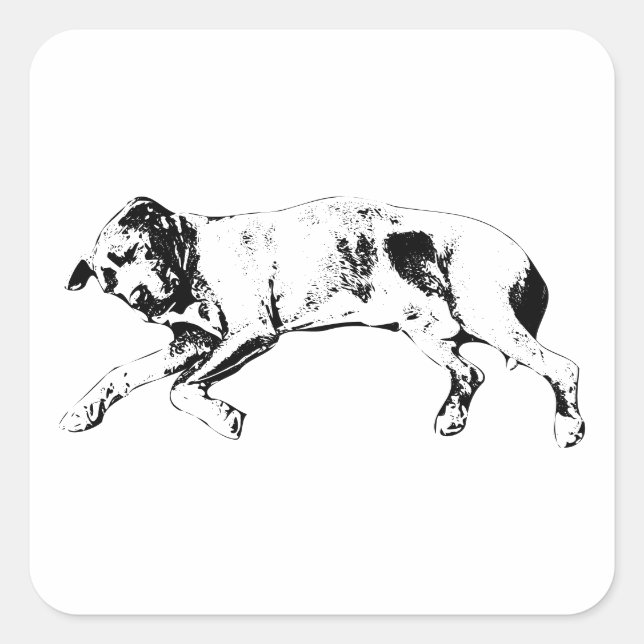 Pegatina Cuadrada Curled Limbs, Noel Calm (Anverso)