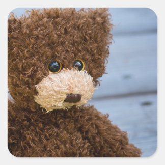 Pegatina Cuadrada Curly Brown Teddy Bear