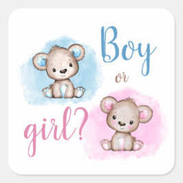 Pegatina Cuadrada Cute Bear Niño o Niña Revelación del Sexo del Bebé