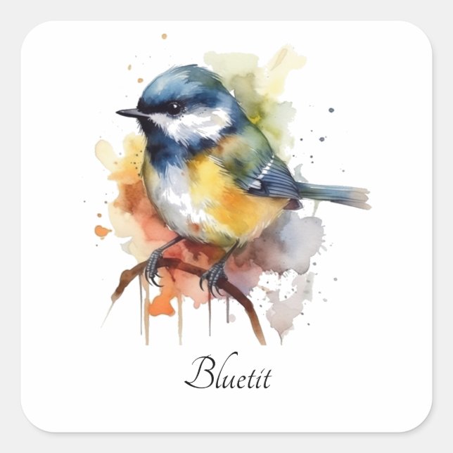 Pegatina Cuadrada Cute Bluetit en una sucursal, personalizado (Anverso)