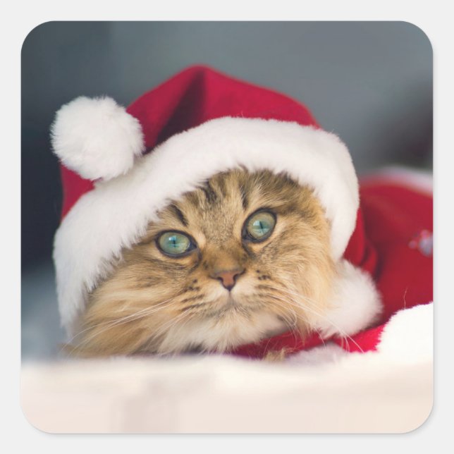 Pegatina Cuadrada Cute Christmas cat lying (Anverso)