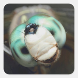 Pegatina Cuadrada Cute Close-up Dragonfly iris Complicado ojos