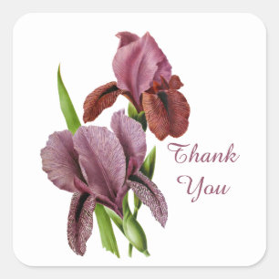 Pegatina Cuadrada Cute gracias iris vintage