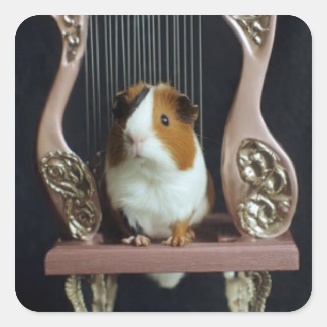 Pegatina Cuadrada Cute Guinea Pig Harp Sticker (Anverso)