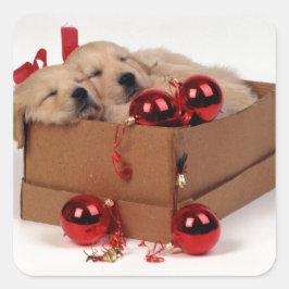 Pegatina Cuadrada Cute Labrador cachorros con baubles de x mas