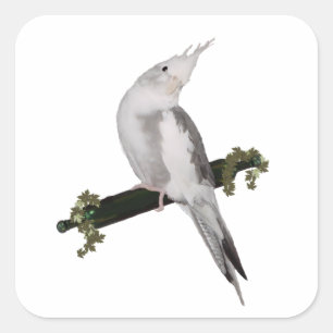 Pegatina Cuadrada Cute Lutino Cockatiel Bird Ivy Perch Animal