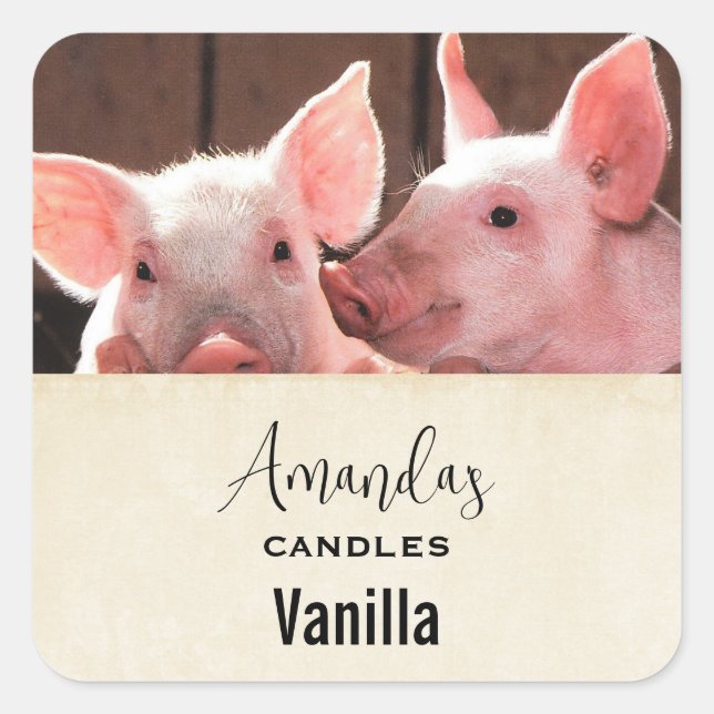 Pegatina Cuadrada Cute Piglets Rosa Fotografia Animal Candle Craft (Anverso)