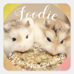 Pegatina Cuadrada Cute Robo Hamsters Foodie