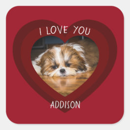 Pegatina Cuadrada Cute shih tzu love Valentine heart photo
