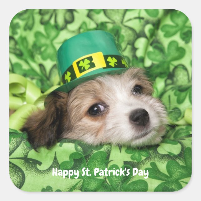 Pegatina Cuadrada Cute St. Patrick's Day Puppy (Anverso)