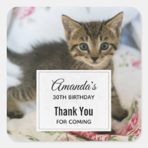 Cute Tabby Kitten Parece Sorprendido Cumpleaños