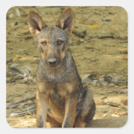 Pegatina Cuadrada Cute Wolf Cub