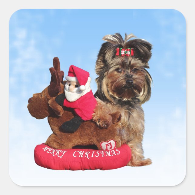 Pegatina Cuadrada Cute Yorkshire Terrier Merry Christmas (Anverso)