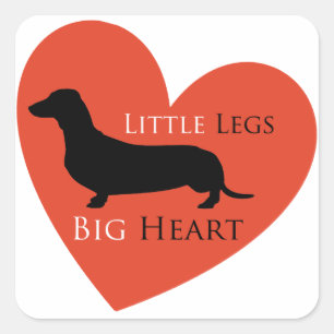 Pegatina Cuadrada Dachshund