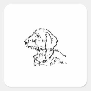 Pegatina Cuadrada Dachshund de Pelo Duro