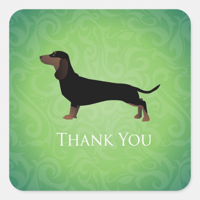 Pegatina Cuadrada Dachshund Gracias Diseño (Anverso)