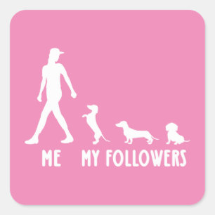 Pegatina Cuadrada Dachshund Mis Seguidores Camisan Dachshund Hover M