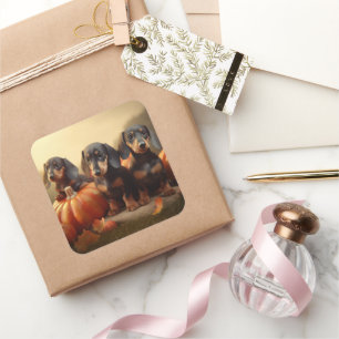 Pegatina Cuadrada Dachshund Puppy Calabaza deslumbrante de otoño