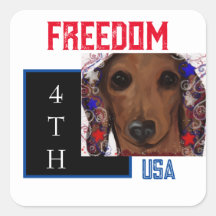 Dachshund Rojo     