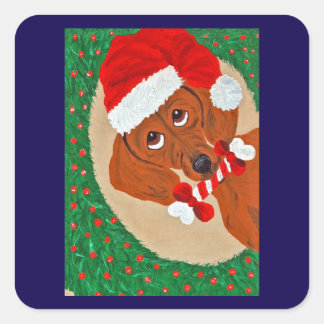 Pegatina Cuadrada Dachshund Santa mirando a través de la Corona de N