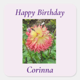 Pegatina Cuadrada Dahlia rosa y amarilla