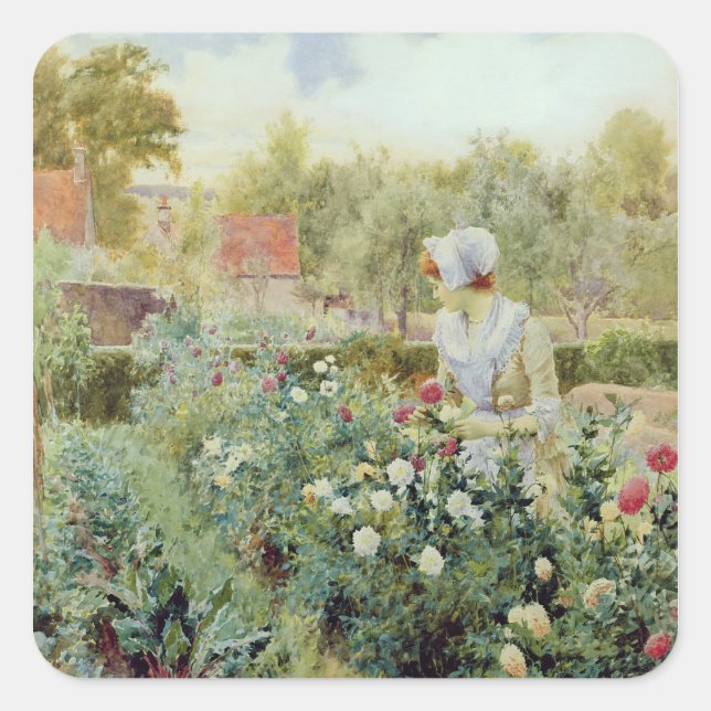 Pegatina Cuadrada Dahlias, 1896 (Anverso)