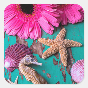 Pegatina Cuadrada Daises Rosados Y Caballos De Mar Con Starfish