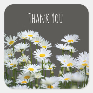 Pegatina Cuadrada Daisies on Grey Gracias