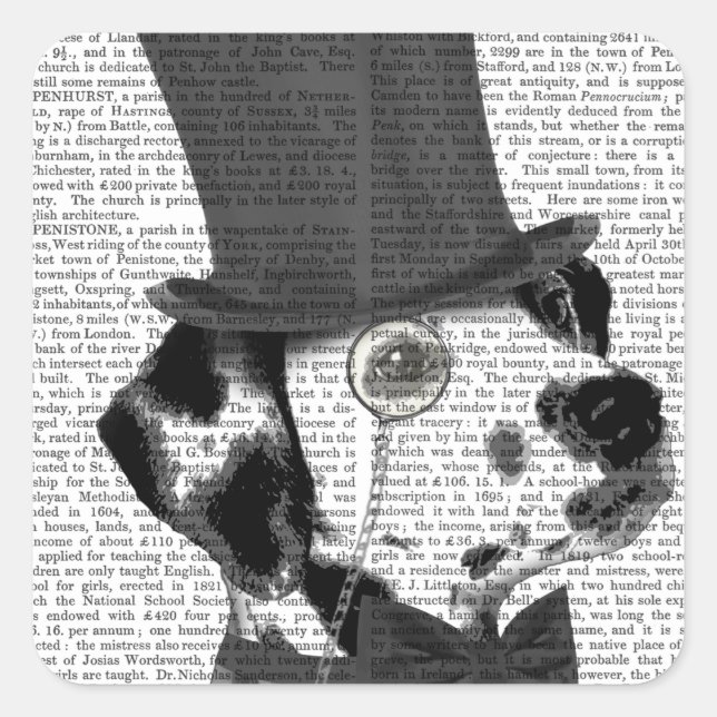 Pegatina Cuadrada Dálmata, Gorra y hedor formal (Anverso)