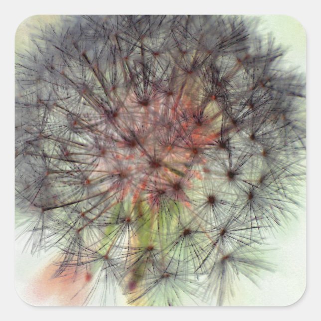 Pegatina Cuadrada Dandelion Seed Head (Anverso)
