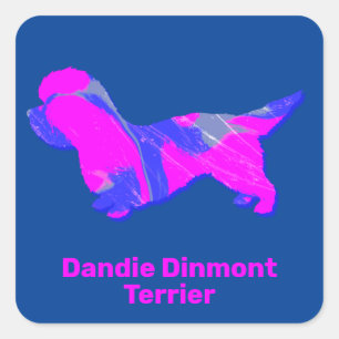 Pegatina Cuadrada Dandie Dinmont Terrier Loco rosa caliente y azul