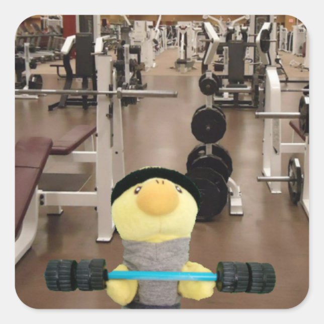 Pegatina Cuadrada Danny Duck en el gimnasio (Anverso)