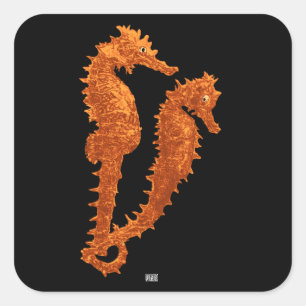 Pegatina Cuadrada Danza de los Seahorses (naranja)
