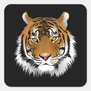 Pegatina cuadrada de cara de tigre