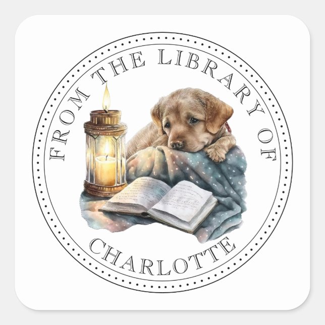 Pegatina Cuadrada De La Biblioteca De Ex Libris Ilustrado (Anverso)