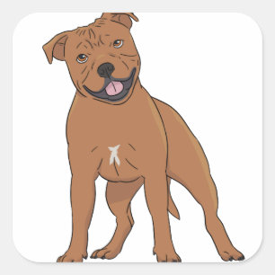 Pegatina cuadrada de Staffordshire Bull Terrier